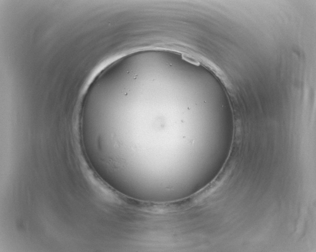 X0000115831530200911271148