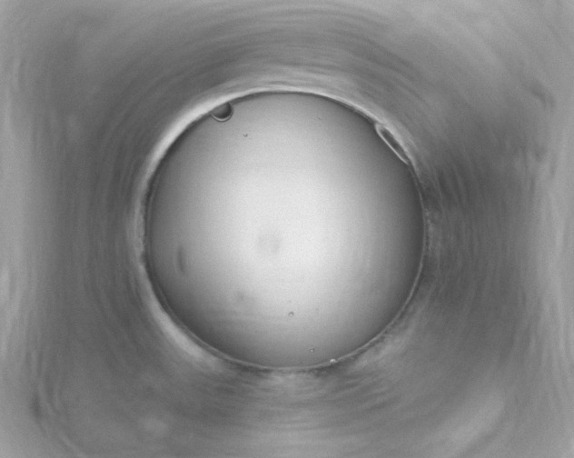 X0000115831531200911271148