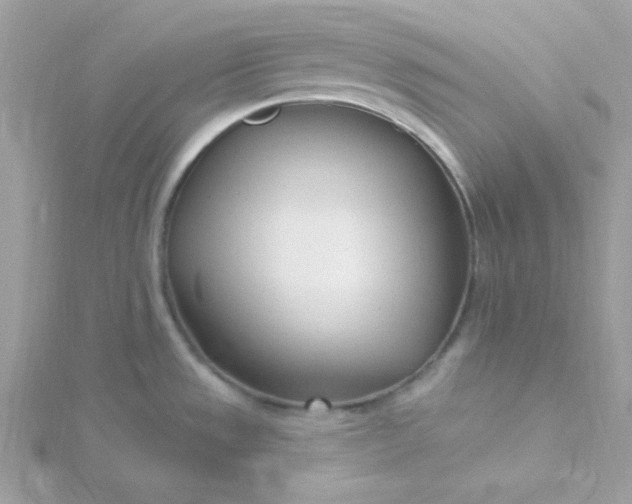 X0000115831533200911271148