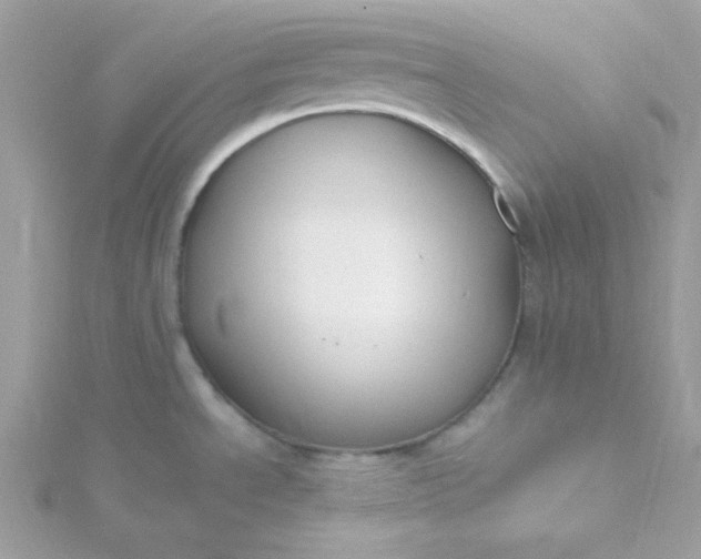 X0000115831534200911271148