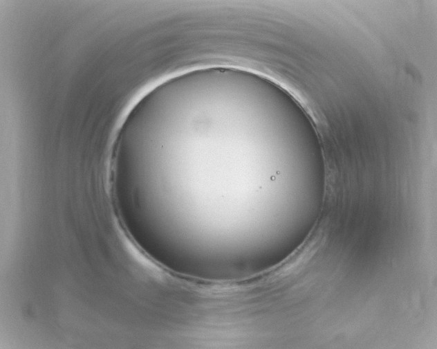 X0000115831535200911271148