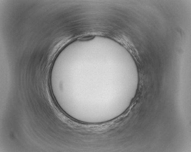 X0000115830001200912041657