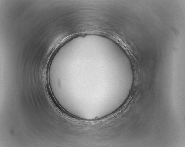 X0000115830002200912041657