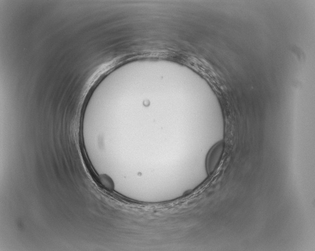 X0000115830003200912041657