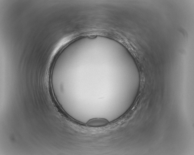 X0000115830006200912041657