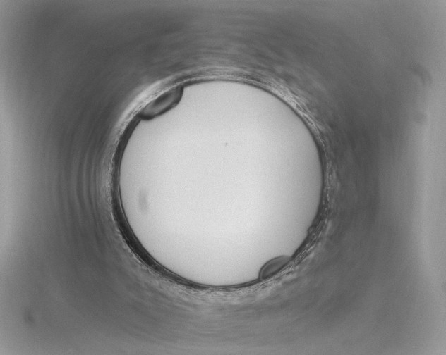 X0000115830007200912041657