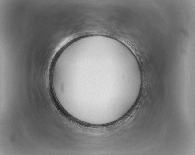 X0000115830008200912041657