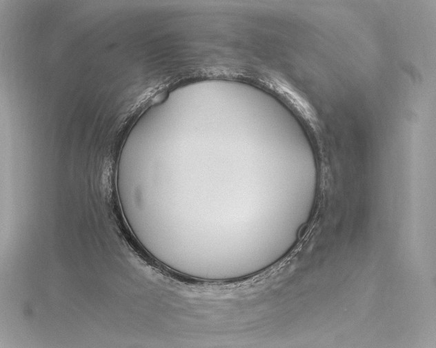 X0000115830009200912041657