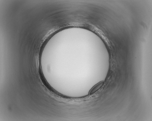 X0000115830011200912041657