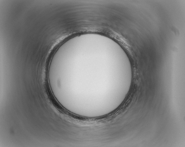 X0000115830012200912041657