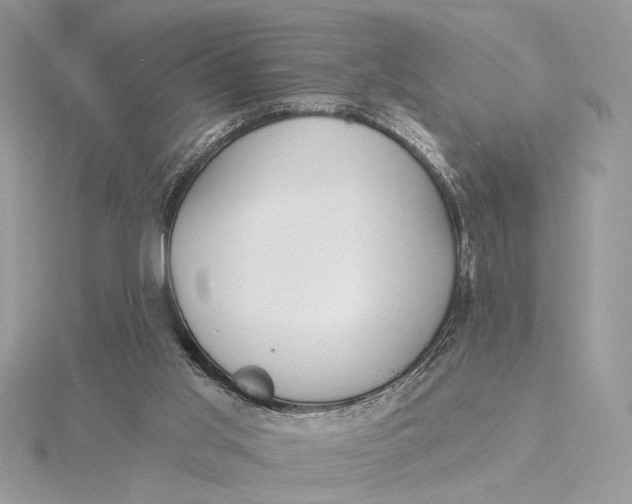 X0000115830013200912041657