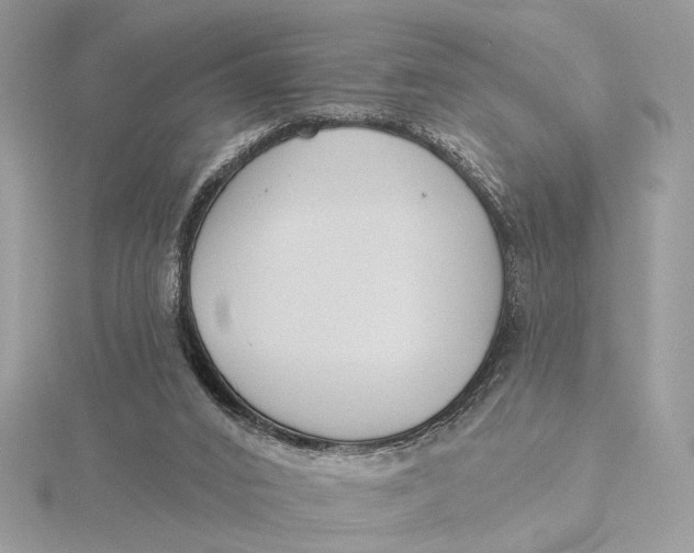 X0000115830016200912041657