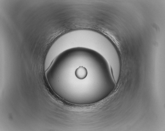 X0000115830017200912041657