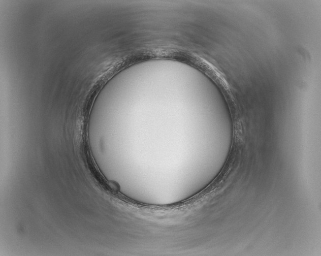 X0000115830018200912041657