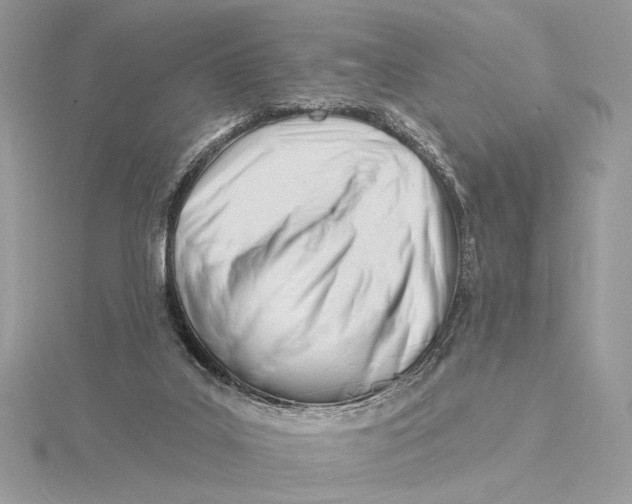 X0000115830019200912041657