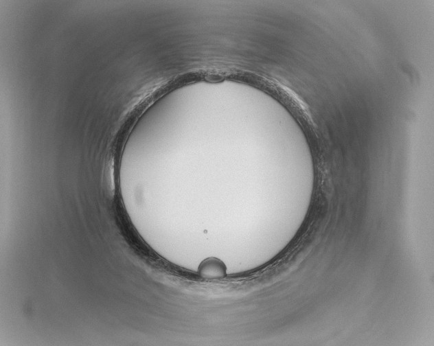 X0000115830020200912041657