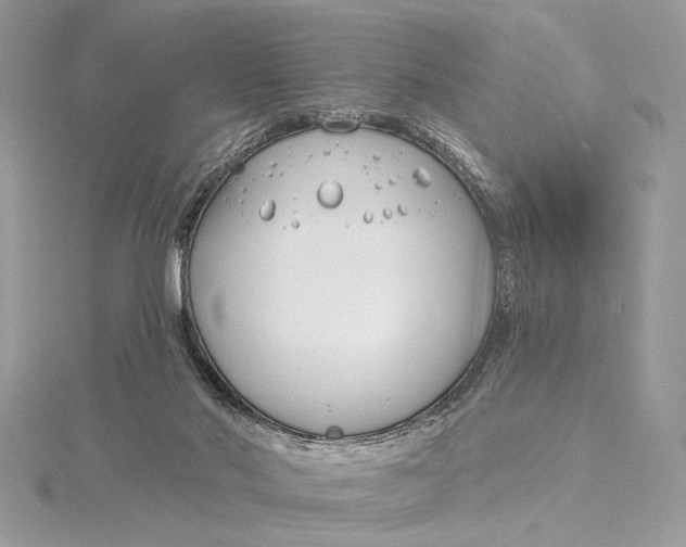 X0000115830022200912041657