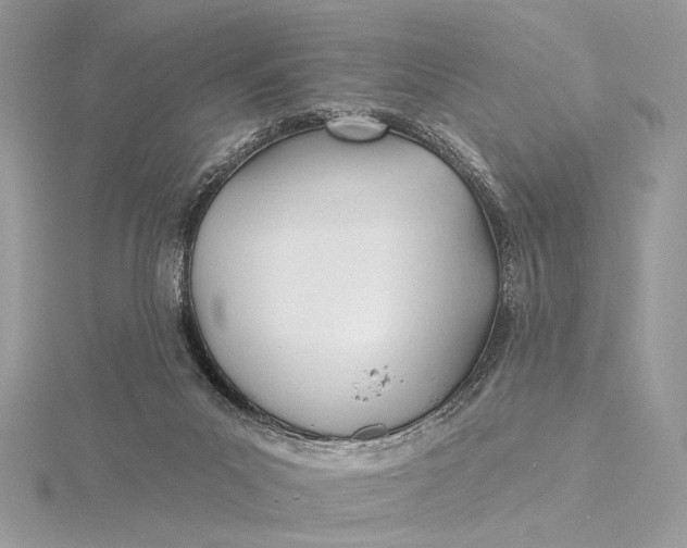 X0000115830023200912041657