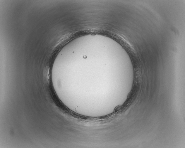 X0000115830024200912041657