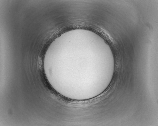 X0000115830025200912041657