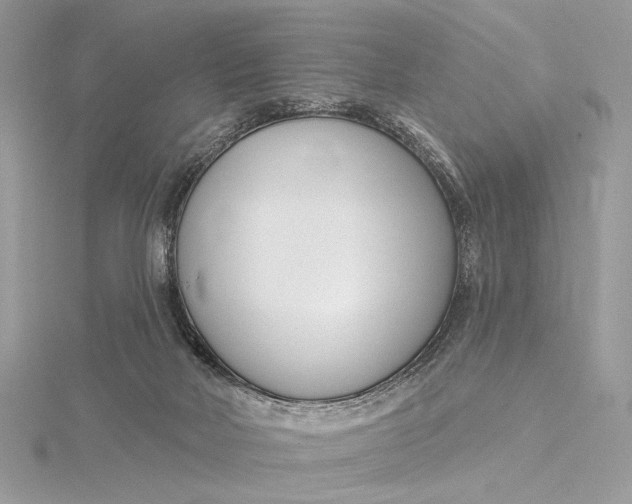 X0000115830026200912041657