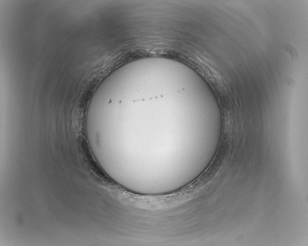 X0000115830030200912041657