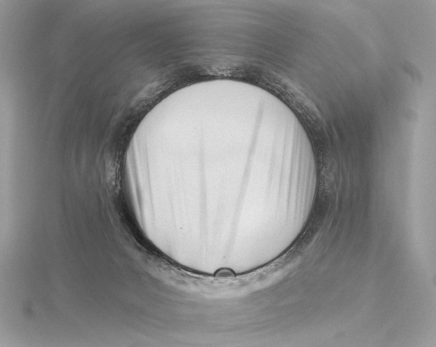 X0000115830031200912041657