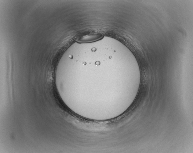 X0000115830032200912041657