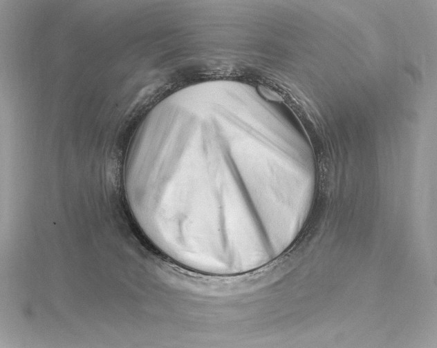 X0000115830035200912041657