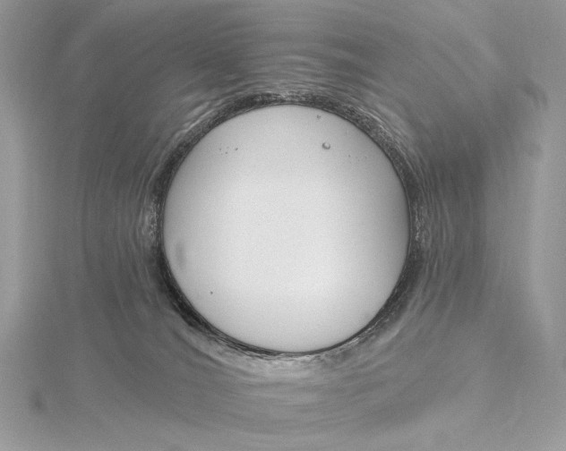 X0000115830036200912041657