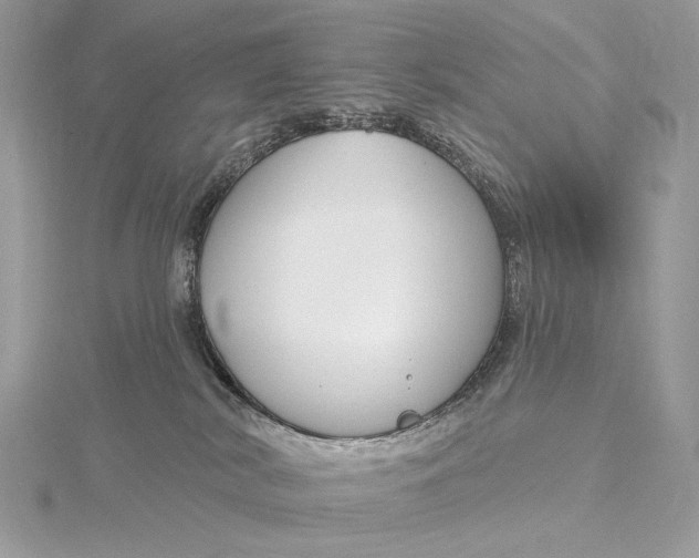 X0000115830038200912041657