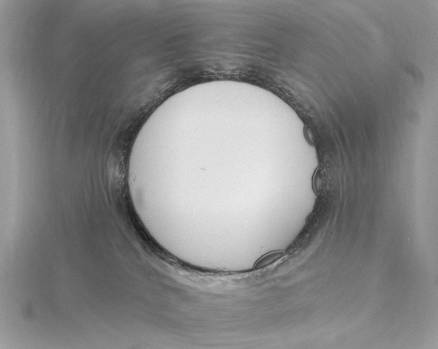 X0000115830040200912041657