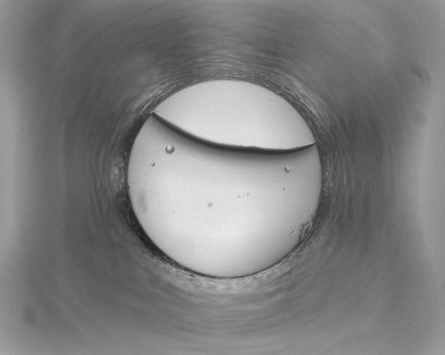 X0000115830043200912041657