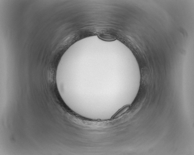 X0000115830044200912041657