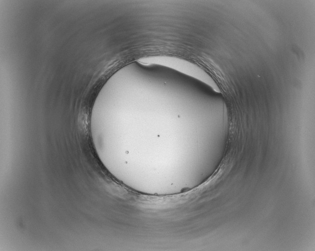 X0000115830045200912041657