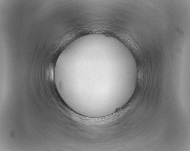 X0000115830046200912041657