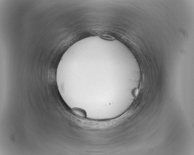 X0000115830048200912041657