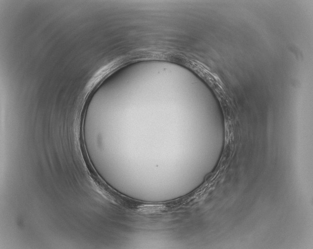 X0000115830051200912041656