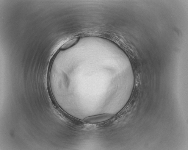 X0000115830052200912041656