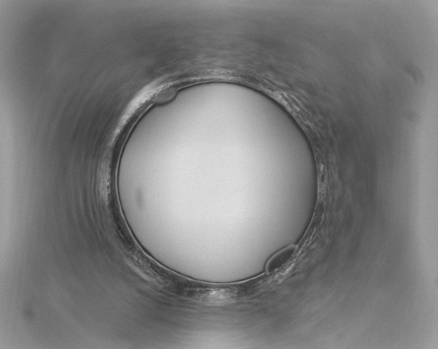 X0000115830056200912041656