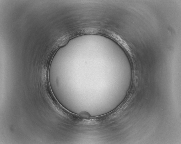 X0000115830057200912041656