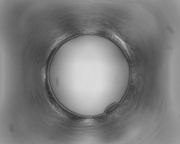 X0000115830059200912041656