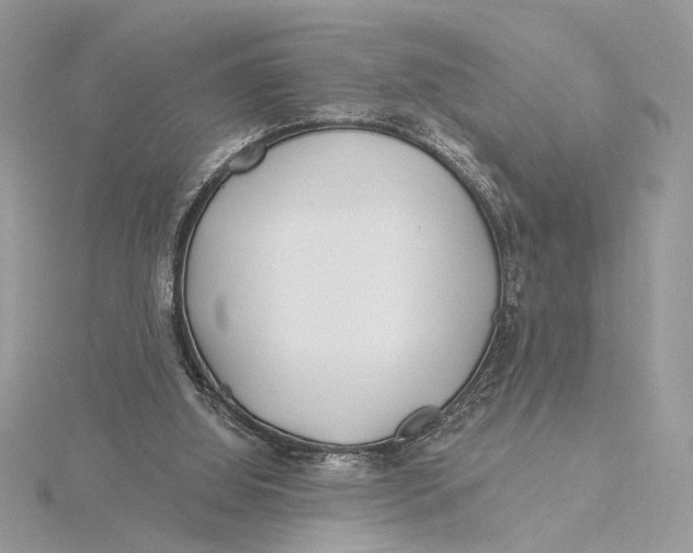 X0000115830060200912041656