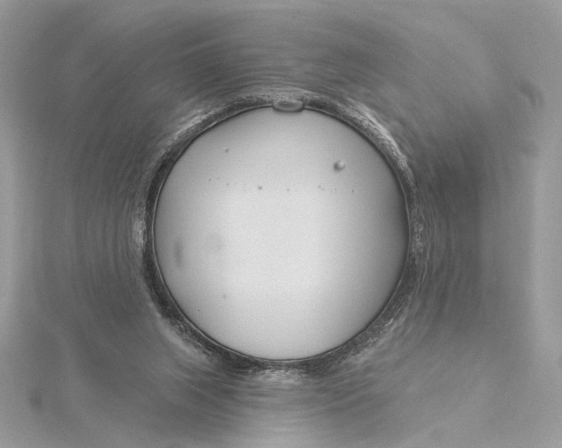 X0000115830063200912041656