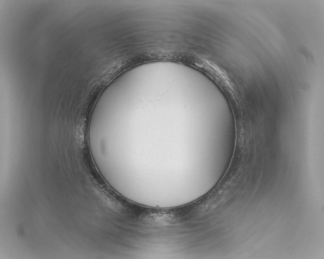 X0000115830065200912041656