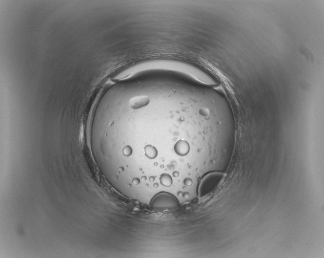 X0000115830067200912041656