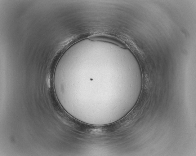 X0000115830068200912041656