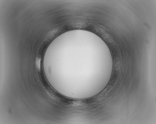 X0000115830070200912041656