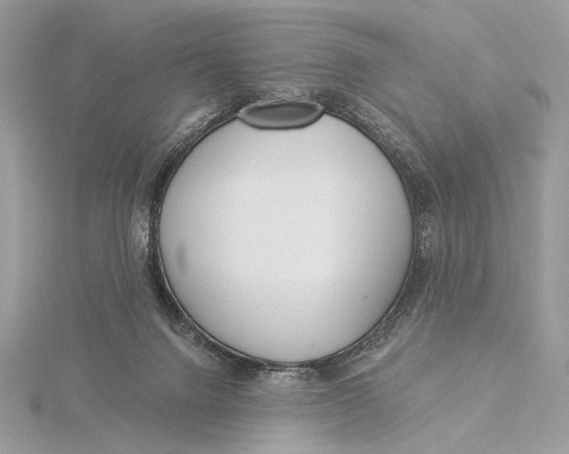 X0000115830072200912041656