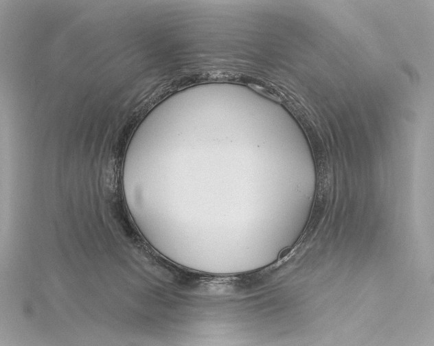 X0000115830078200912041656